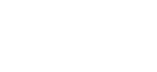 Speed